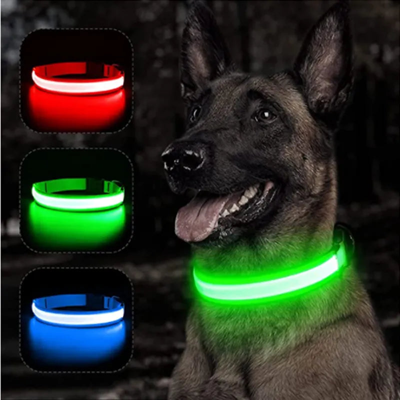 LED Glowing Dog Collar Adjustable Flashing and Rechargeable - Pawz Are Us