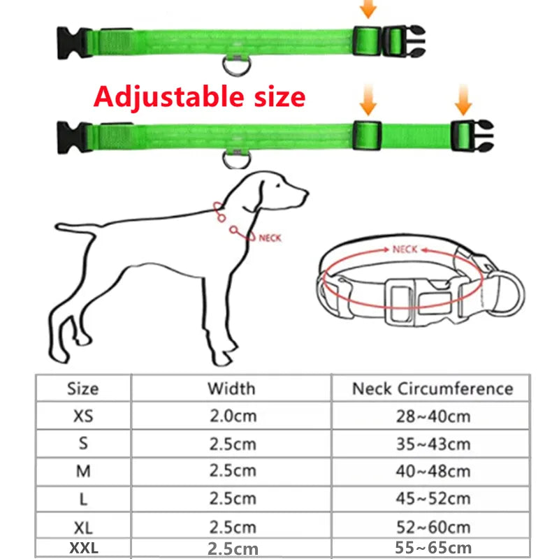 LED Glowing Dog Collar Adjustable Flashing and Rechargeable - Pawz Are Us