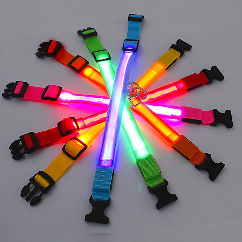 LED Glowing Dog Collar Adjustable Flashing and Rechargeable - Pawz Are Us