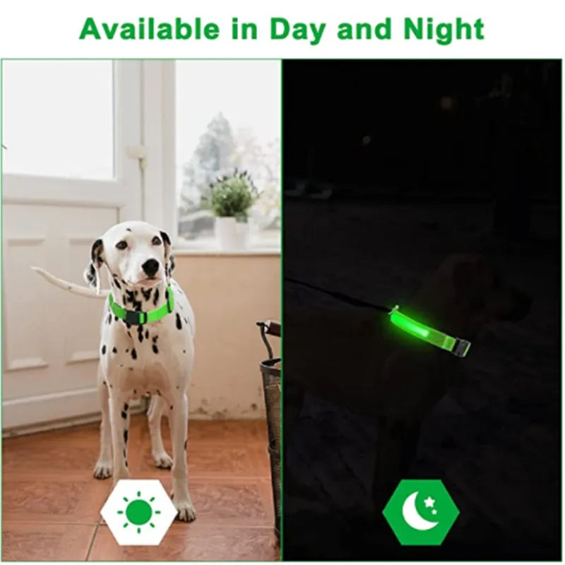 LED Glowing Dog Collar Adjustable Flashing and Rechargeable - Pawz Are Us